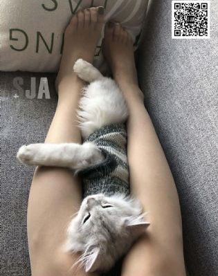 致命的诱惑电视剧免费完整观看_720日韩电影在线