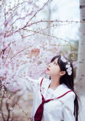 冬至40集电视剧免费观看_视频大全成人直接看